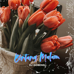 DJ GOBENG - Bintang Malam