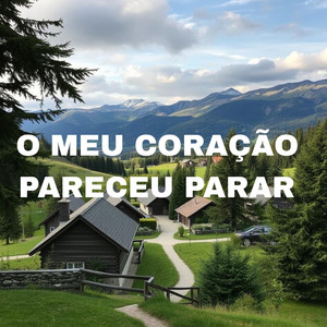 Fernanda de Souza - O Meu Coração Pareceu Parar