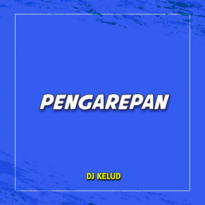 DJ Kelud - DJ PENGAREPAN