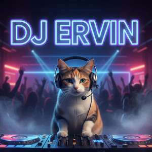 DJ ERVIN - JAUH KO PERGI REMIX SLOW BASS