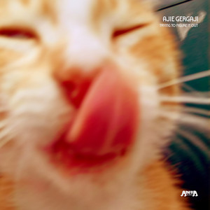 Ajie Gergaji - Trying To Figure It Out - Parapaman Version