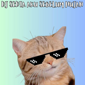 Celin Fvnky Rmx - DJ SEDIA AKU SEBELUM HUJAN - Remix