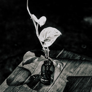 Binar - Lika Liku Skenario