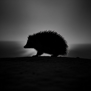 ahmad zibriel - Tak selamanya