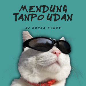 DJ Kopra Fvnky - Mendung Tanpo Udan