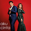 Syamel, Ernie Zakri - Aku Cinta