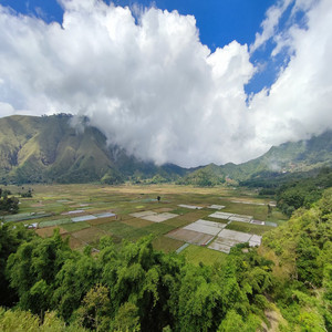 Timbre Musik - Satu tenda
