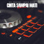 RVZ Creator - Cinta Sampai Mati (feat. Raffa Affar) - Remix
