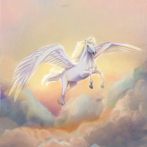 Collapse - Violet Membran