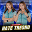 Rosynta Dewi - Nate Tresno