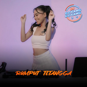 DJ Goyang Goyang - Rumput Tetangga
