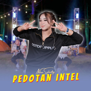 Niken Salindry - Pedotan Intel