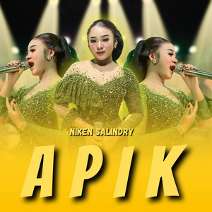 Niken Salindry - Apik