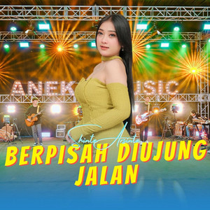 Shinta Arsinta - Berpisah Diujung Jalan