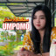 Intan Mandasari - Umpomo