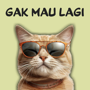 Maman Fvndy - Gak Mau Lagi