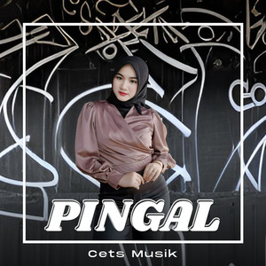 Cets Musik - Pingal
