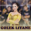 Rina Aditama - Golek Liyane