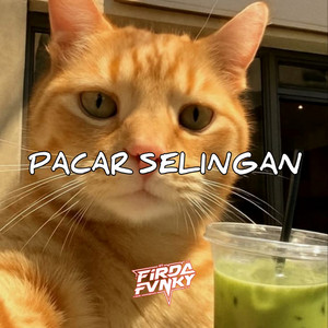 Firda Fvnky - Pacar Selingan (Remix)