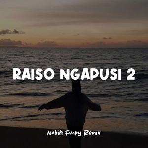 Nabih Fvnky Remix - Raiso Ngapusi 2