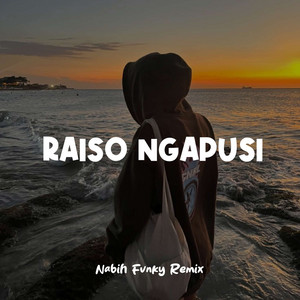 Nabih Fvnky Remix - Raiso Ngapusi