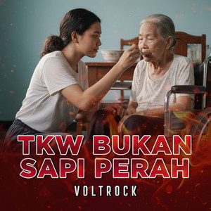 VOLTROCK - TKW BUKAN SAPI PERAH