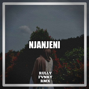 Rully Fvnky rmx - Njanjeni