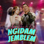 Ajeng Febria, Brodin - Ngidam Jemblem