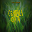 Roy Hanafi - Gembala Cinta