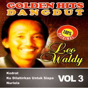 Leo Waldy - Meyendiri