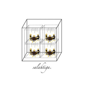 SalahTiga - Sometimes