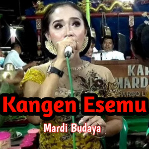 Erin Sabrina - Kangen Esemu