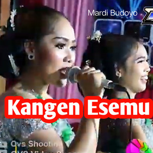 Erin Sabrina - Kangen Esemu