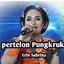 Erin Sabrina - Pertelon Pungkruk