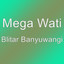 Megawati - Blitar Banyuwangi