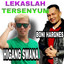 Higang Swana, Boni Hargens - Lekaslah Tersenyum