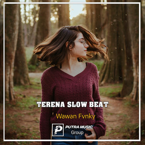 Wawan Fvnky - Terena Slow Beat - Remix