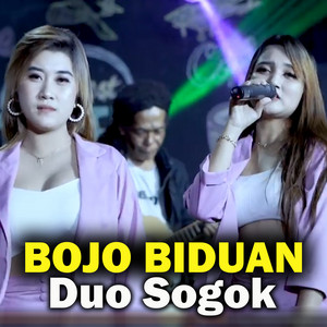 Duo Sogok - Bojo Biduan