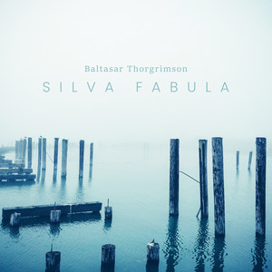 Baltasar Thorgimson - Silva Fabula