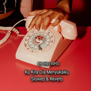 DJ Diki Rmx - DJ Ku Kira Dia Menyukaiku Slow & Reverb