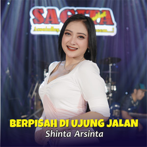 Shinta Arsinta - Berpisah Di Ujung Jalan