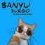 Dj Malindo Rmx - Banyu Surgo