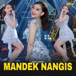 Shinta Arsinta - Mandek Nangis