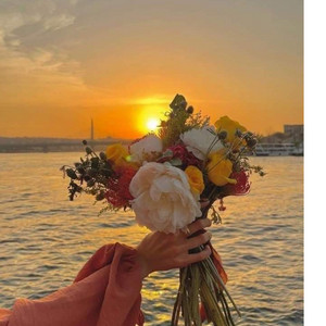 Elysa, Aan Story - Bunga Maaf