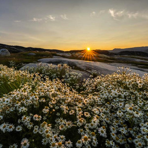Lagu Indonesia Galau - Masih Adakah Rasa Cinta
