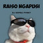 DJ Kopra Fvnky - Raiso Ngapusi