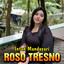 Intan Mandasari - Roso Tresno