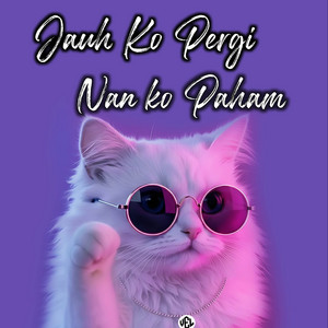 Vel Remixer - Jauh Ko Pergi - Remix