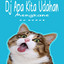 DJ DORUS - DJ APA KITA UDAHAN MENGKANE