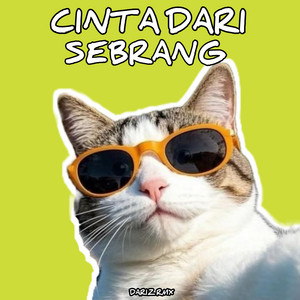 Dariz RMX - Cinta Dari Seberang